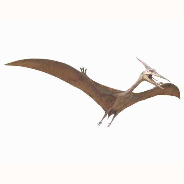 PTEROSAURUS