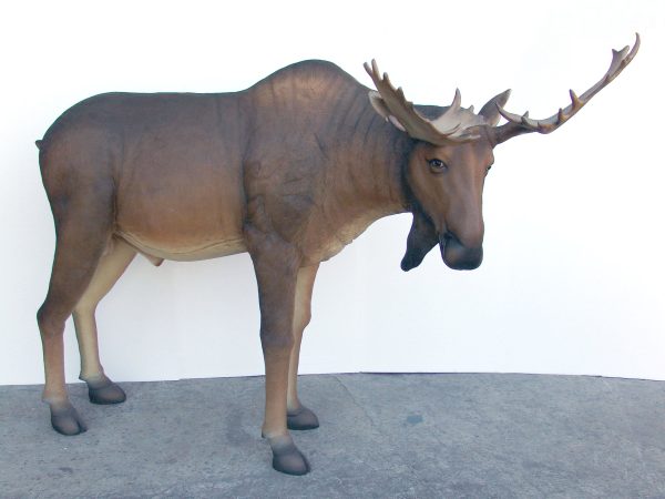 MOOSE (LIFE-SIZE)