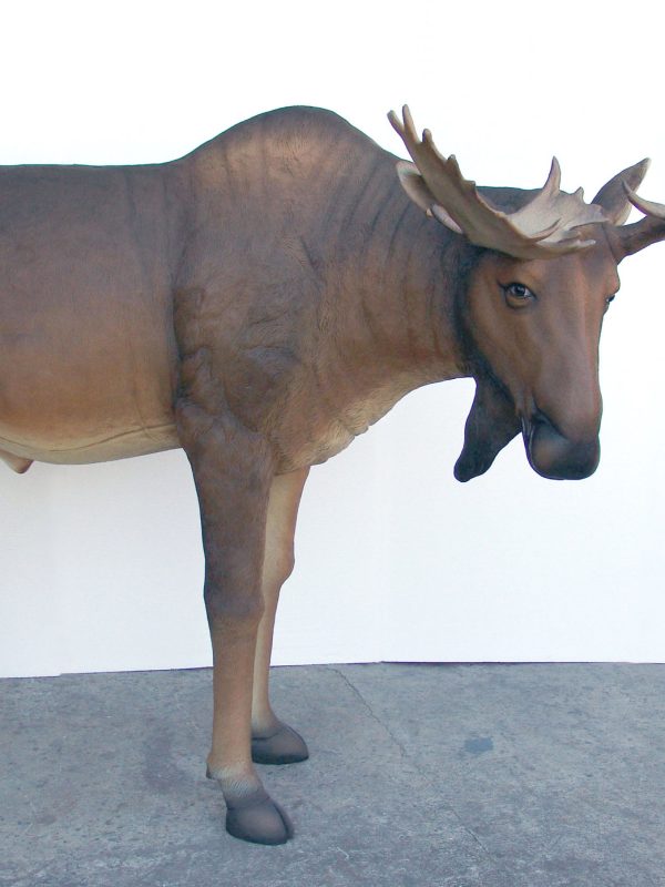 MOOSE (LIFE-SIZE)