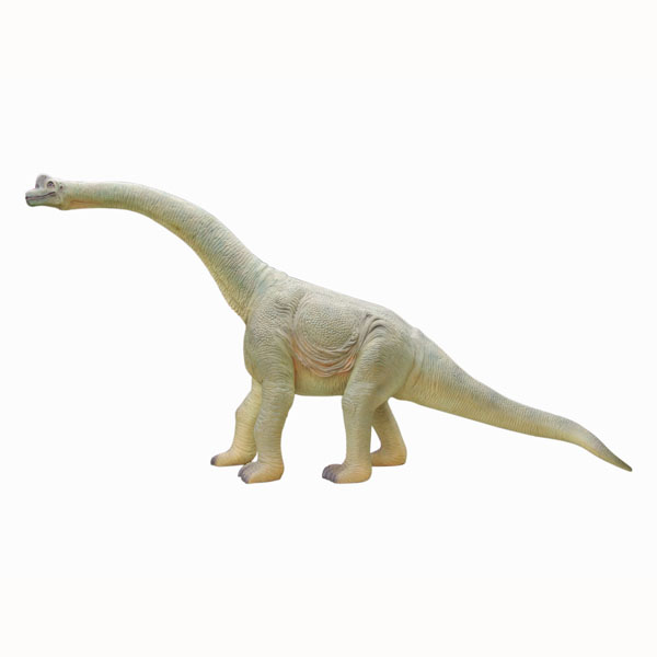 BABY BRACHIOSAURUS