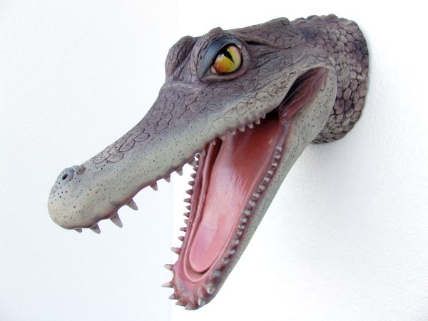 ALLIGATOR HEAD