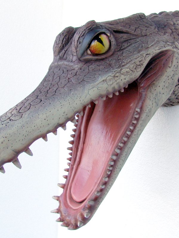 ALLIGATOR HEAD