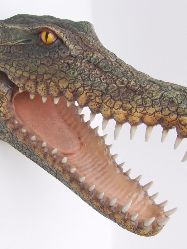 CROCODILE HEAD