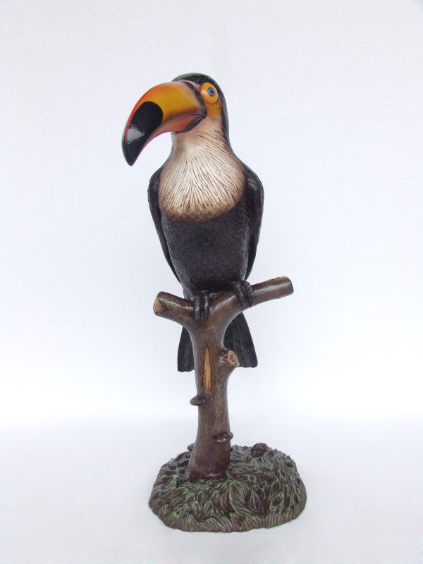 TOUCAN