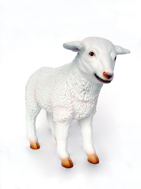 LAMB