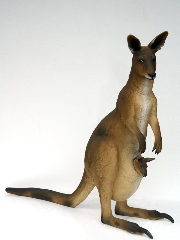 KANGAROO