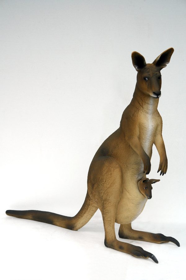 KANGAROO