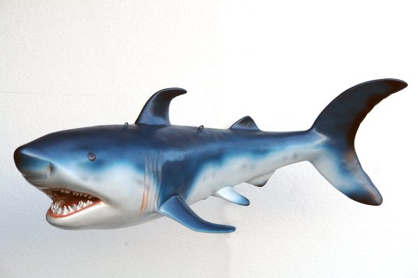 SHARK (small)