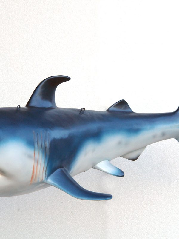 SHARK (small)