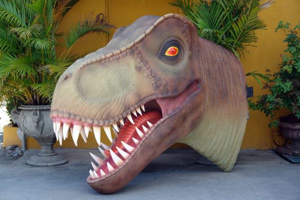 T-REX HEAD (new)