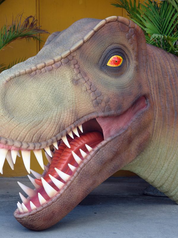 T-REX HEAD (new)