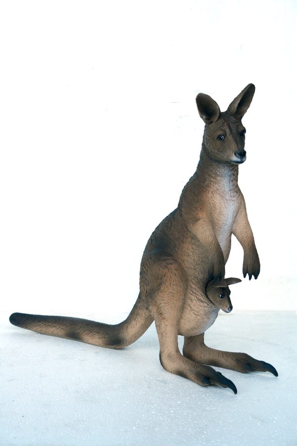 KANGAROO