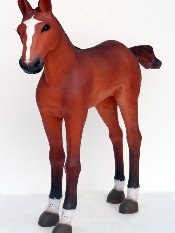 BABY FOAL
