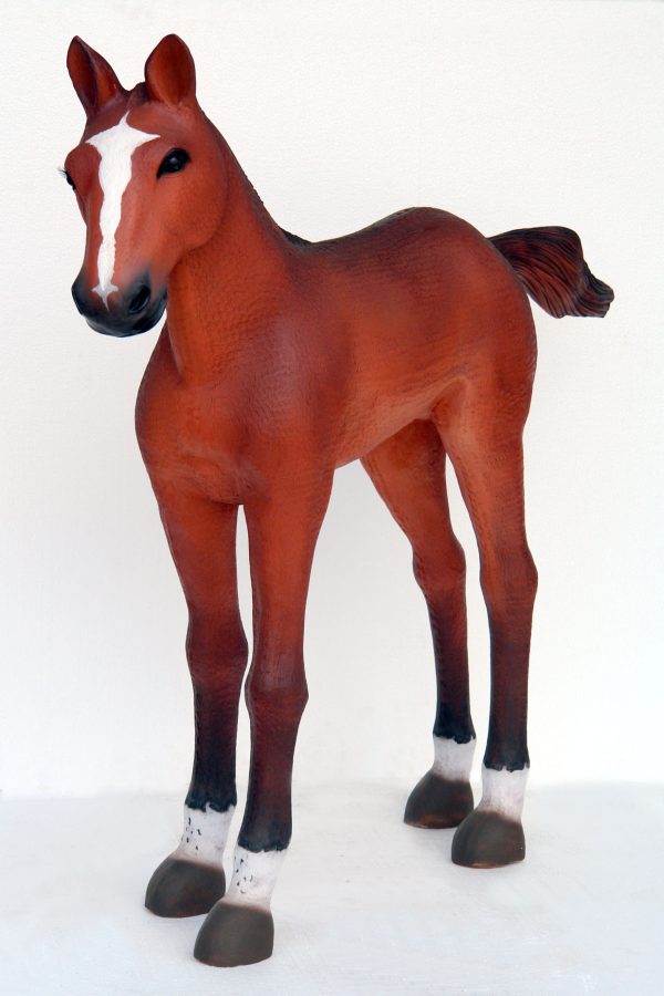 BABY FOAL