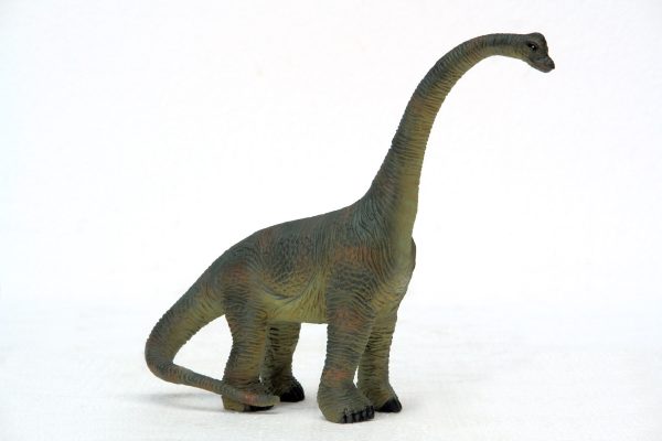 BRACHIOSAURUS 1ft HEIGHT