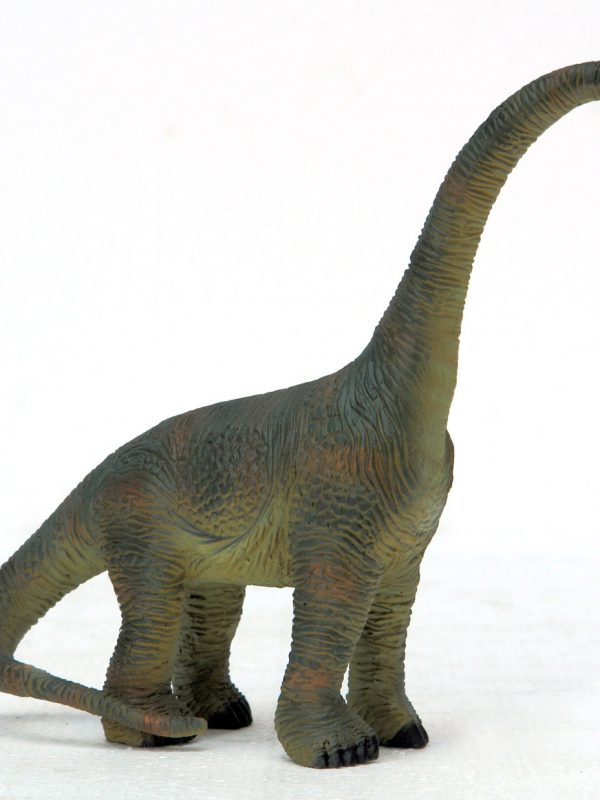 BRACHIOSAURUS 1ft HEIGHT