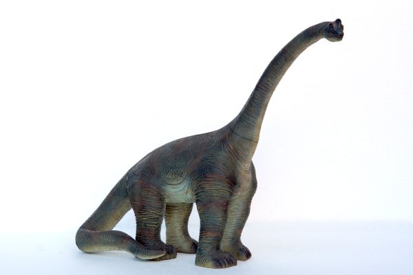 BRACHIOSAURUS 2ft HEIGHT