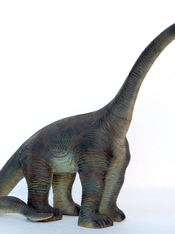 BRACHIOSAURUS 2ft HEIGHT