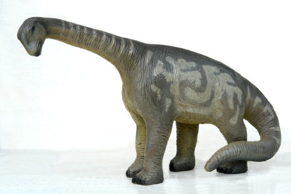 CAMARASAURUS 1 ft HEIGHT