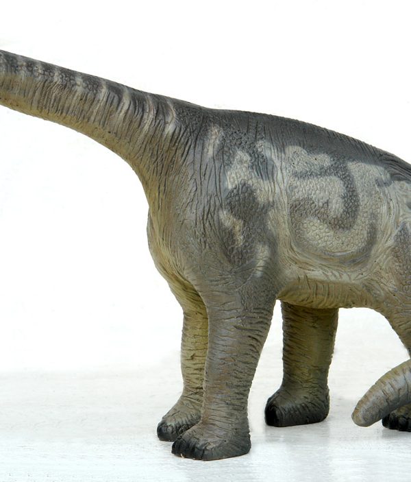 CAMARASAURUS 1 ft HEIGHT