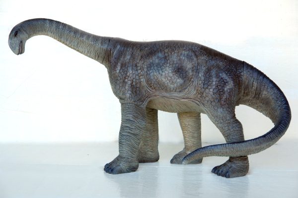 CAMARASAURUS 2 ft HEIGHT
