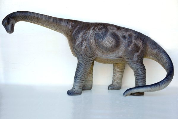 CAMARASAURUS 3 ft HEIGHT