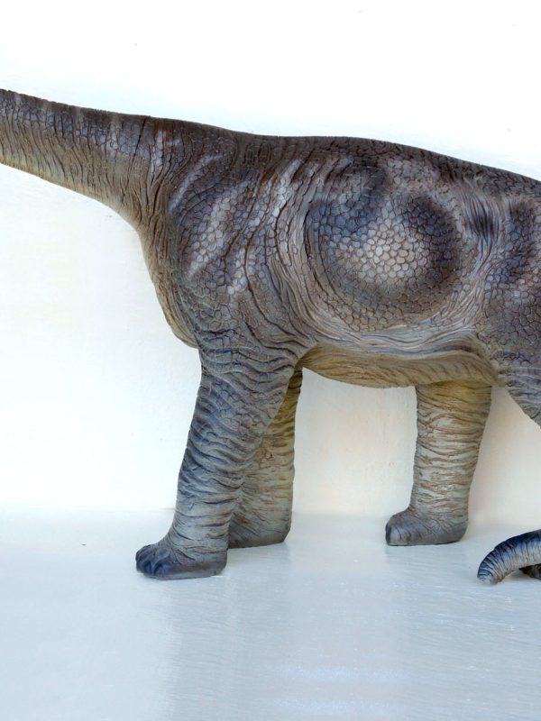 CAMARASAURUS 3 ft HEIGHT