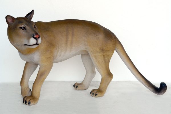 COUGAR