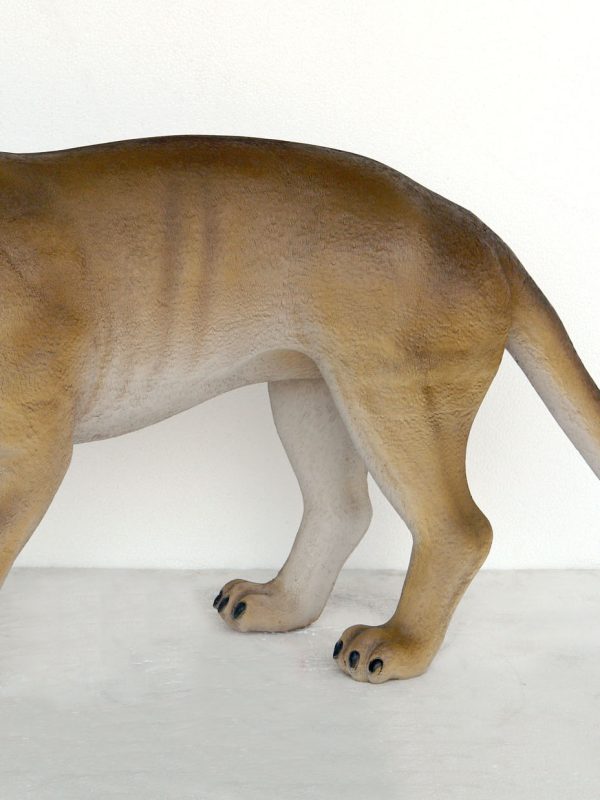 COUGAR