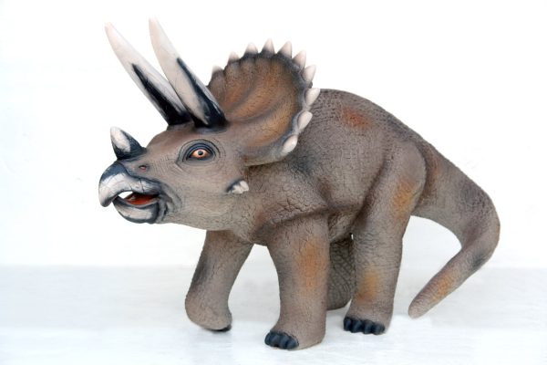 TRICERATOPS 2 ft HEIGHT