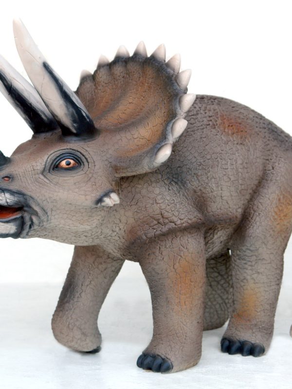 TRICERATOPS 2 ft HEIGHT