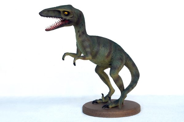 T-REX 2 ft HEIGHT
