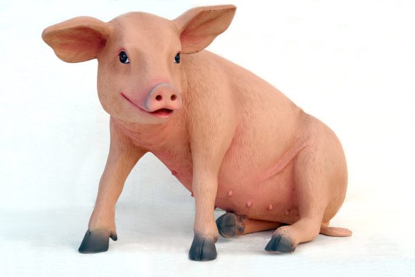PIG SITTING