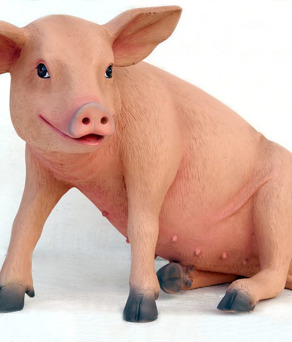 PIG SITTING