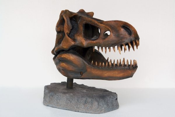 T-REX SKULL HEAD