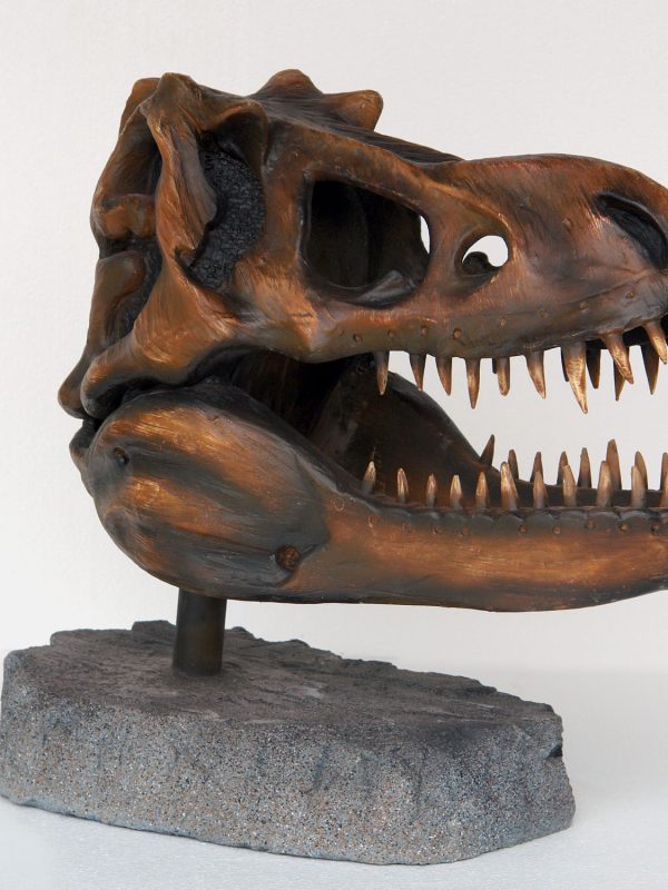 T-REX SKULL HEAD