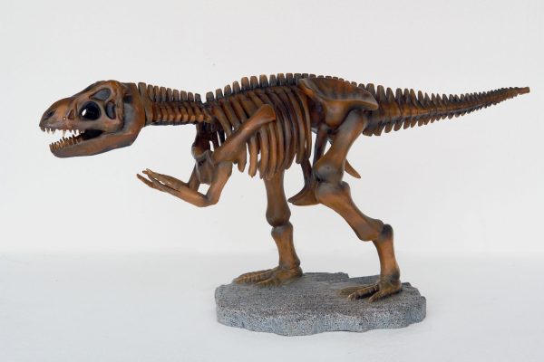 T-REX SKELETON – SMALL