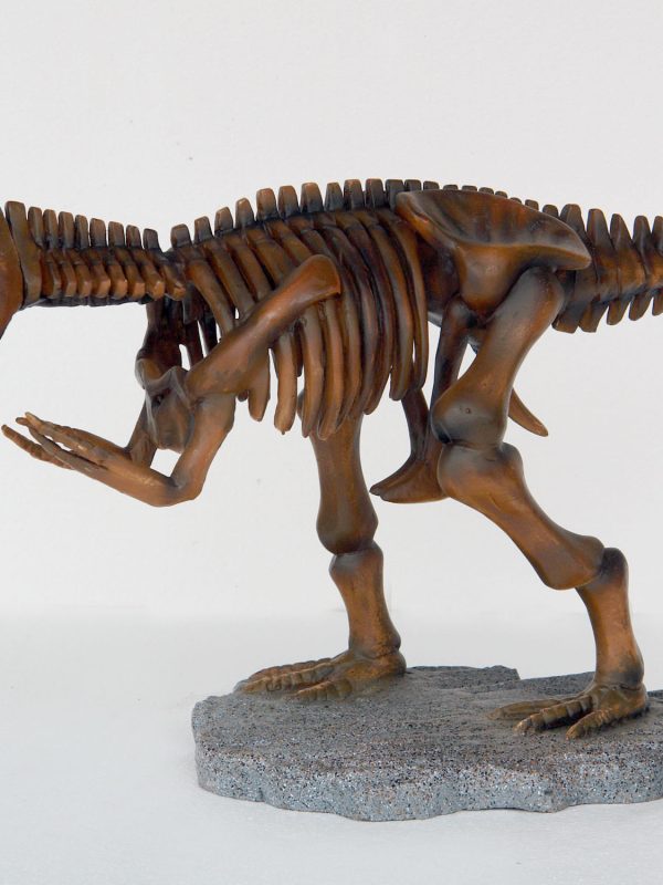 T-REX SKELETON – SMALL