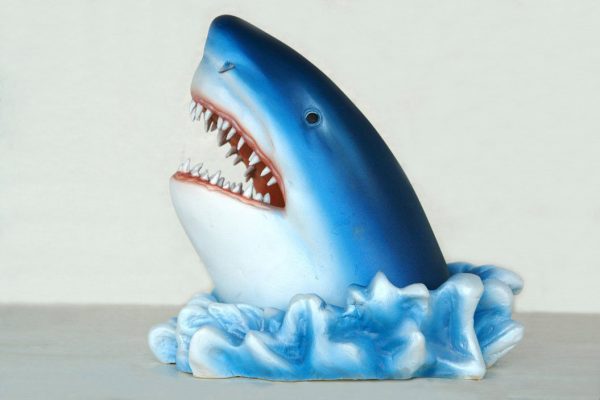 SHARK HEAD (small)