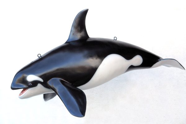 ORCA WHALE (Small)