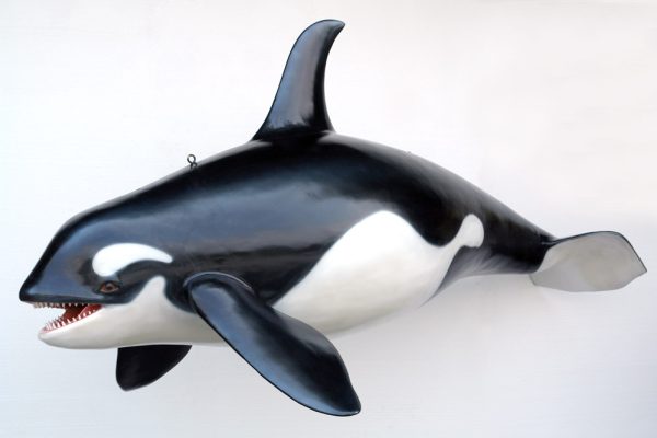 ORCA WHALE (Big)