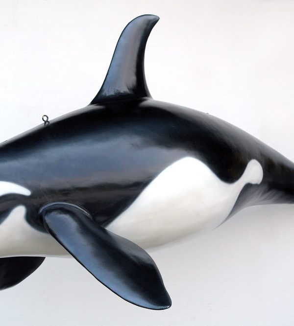 ORCA WHALE (Big)