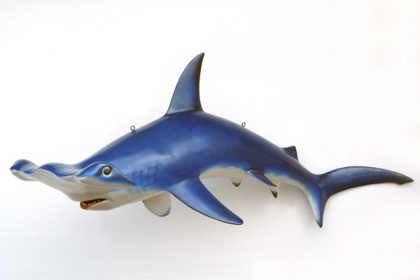 HAMMER HEAD SHARK (Big)