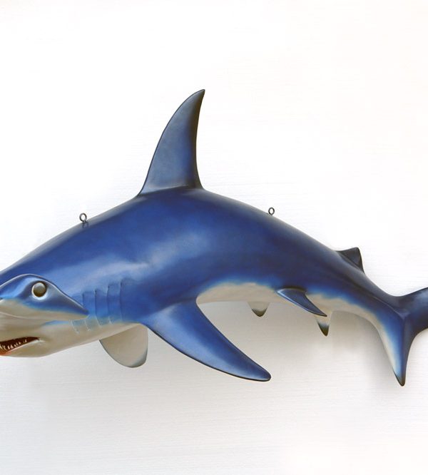 HAMMER HEAD SHARK (Big)
