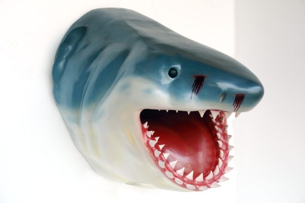 SHARK HEAD (Jumbo)