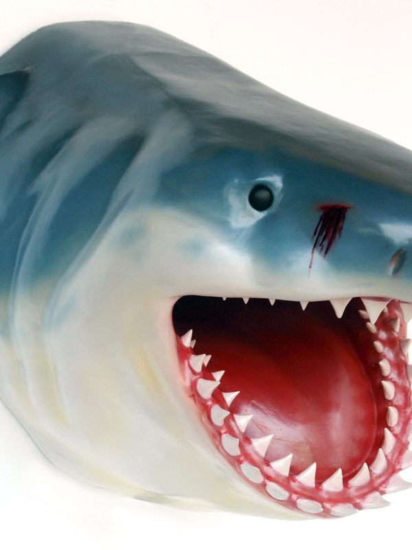 SHARK HEAD (Jumbo)