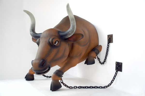 BULL IN CHAINS