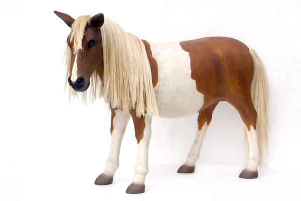 SHETLAND PONY
