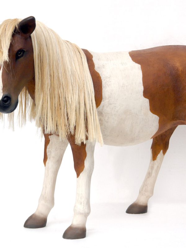 SHETLAND PONY