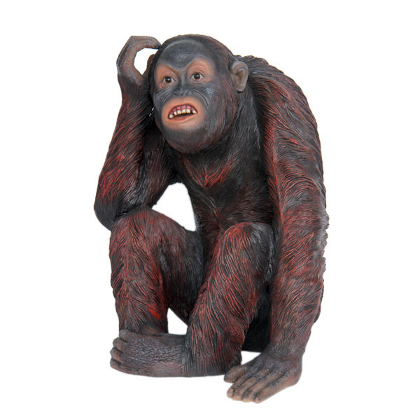 Orangutan